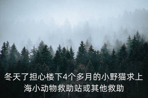 上海市救助站怎么提供救助服務，冬天了擔心樓下4個多月的小野貓求上海小動物救助站或其他救助