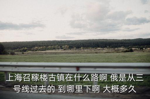 上海市梅隴到召稼乘什么車，上海梅隴鎮(zhèn)銀都菜市場路到浦江鎮(zhèn)蘇召路菜市場做公交怎么云