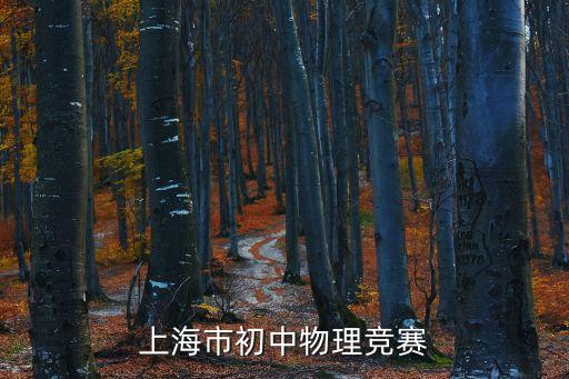 2018上海市物理競賽初賽，上海市第18屆初中物理競賽初賽的一道試題