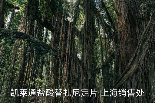上海市復興中路477號，凱萊通鹽酸替扎尼定片 上海銷售處