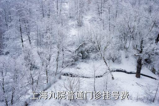 上海市掛號費調整，上海九院普通門診掛號費