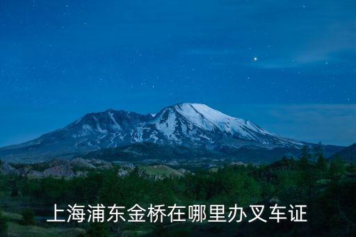 上海市金橋鎮(zhèn)人民政府電話，上海浦東金橋在哪里辦叉車證