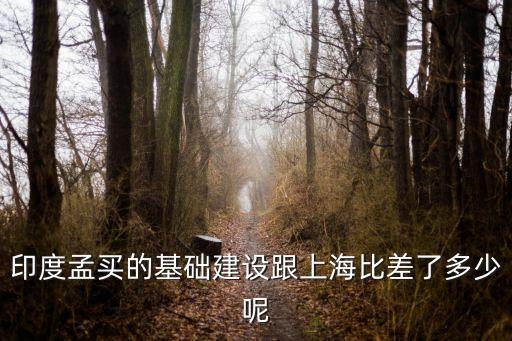 印度孟買的基礎建設跟上海比差了多少呢
