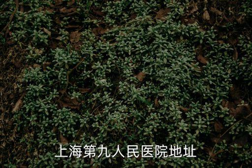 上海第九人民醫(yī)院地址