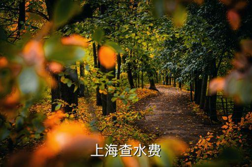 上海市水務安質監站電話，上海水務24小時熱線
