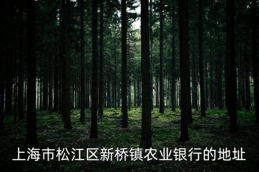 農(nóng)行上海市松江區(qū)磚橋支行，上海市松江區(qū)新橋鎮(zhèn)農(nóng)業(yè)銀行的地址