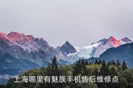 上海市魅族售后，上海哪里有魅族手機售后維修點