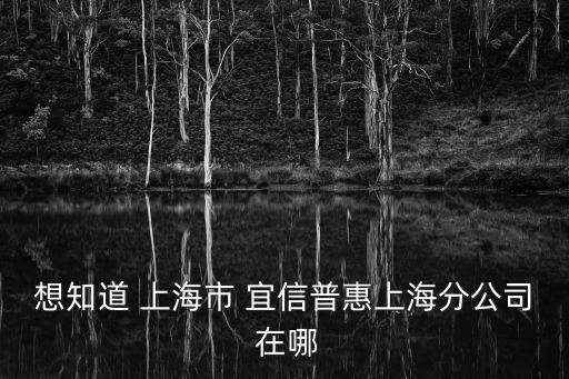 上海市宜興普惠擔(dān)保公司，想知道 上海市 宜信普惠上海分公司 在哪