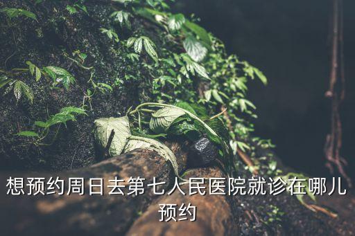 上海市第七醫院掛號，想預約周日去第七人民醫院就診在哪兒預約