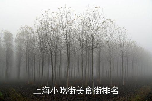 上海市美食街，上海有哪些美食街