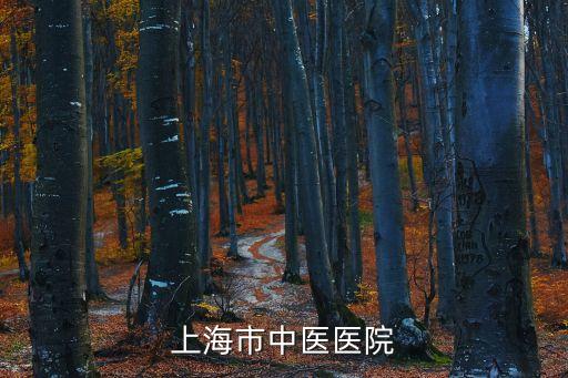上海市中醫醫院