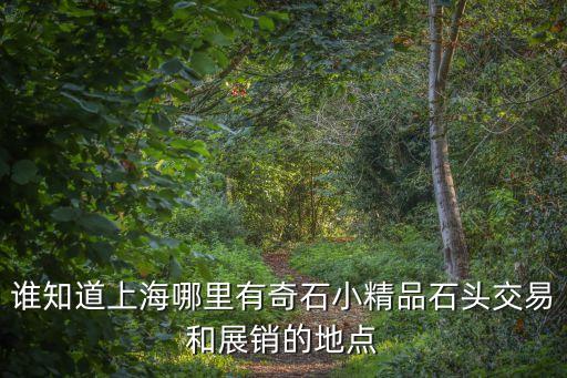 上海市收藏石市場，上海收藏市場在那 請?jiān)敿?xì)