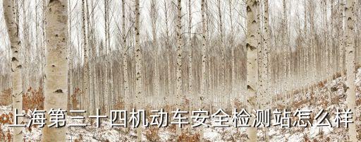 上海第三十四機動車安全檢測站怎么樣