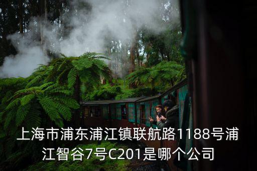 上海市浦東浦江鎮聯航路1188號浦江智谷7號C201是哪個公司