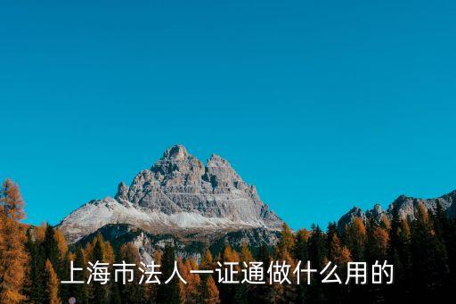 上海市法人一證通做什么用的