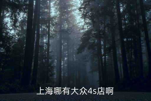 上海市一汽邁騰4s店，一汽大眾 上海4s店地址