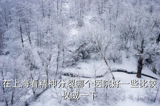 在上海看精神分裂哪個醫院好一些比較權威一下