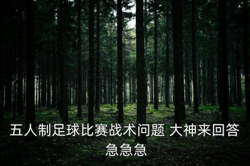 五人制足球比賽戰(zhàn)術(shù)問(wèn)題 大神來(lái)回答 急急急