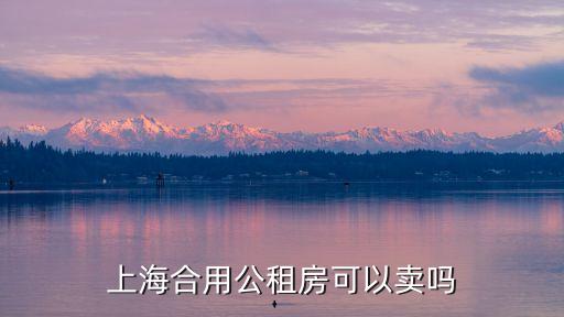 上海市不可售公租房如何評估，上海世博會的學生優惠票什么時候開始發售