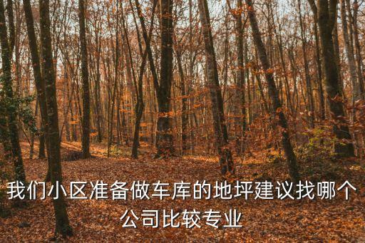 我們小區準備做車庫的地坪建議找哪個公司比較專業