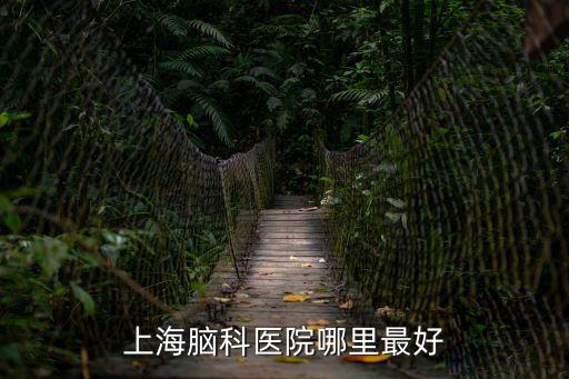 上海市腦科權威醫院排名，上海腦科醫院哪里最好