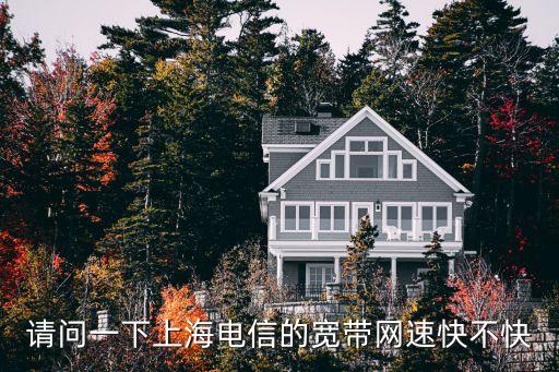 上海市的網(wǎng)速，請(qǐng)問(wèn)一下上海電信的寬帶網(wǎng)速快不快