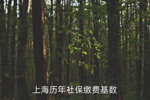 上海歷年社保繳費基數(shù)