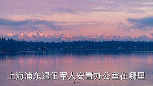 上海市退伍軍人保障局，寶山區退役軍人事務局的地址在哪里