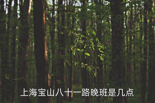 上海寶山八十一路晚班是幾點
