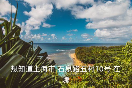 上海市石泉五村分布圖，想知道上海市 石泉路五村10號(hào) 在哪