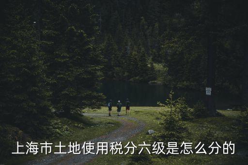 上海市土地款，2011年上海農(nóng)田補(bǔ)貼多少