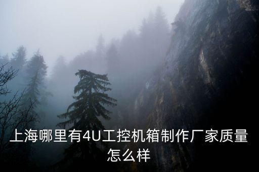 上海市工控機在哪里，上海哪里有4U工控機箱制作廠家質量怎么樣
