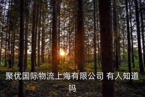 上海市聚緣國際物流有限公司，聚優國際物流上海有限公司 有人知道嗎