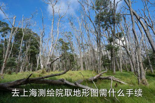 上海市測繪院地形圖，去上海測繪院取地形圖需什么手續