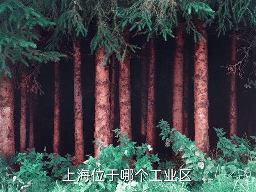 上海市金橋出口加工區屬于哪個區，金橋在上海的那個區是在浦東嗎