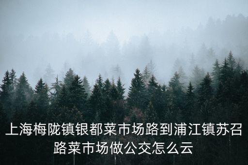 上海梅隴鎮銀都菜市場路到浦江鎮蘇召路菜市場做公交怎么云
