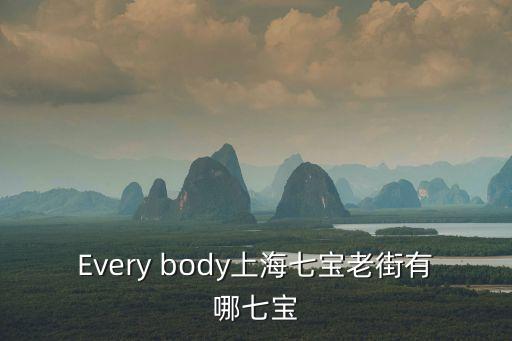 Every body上海七寶老街有哪七寶