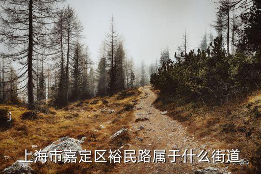上海市裕民路1203弄是哪個區，上海市嘉定區裕民路屬于什么街道