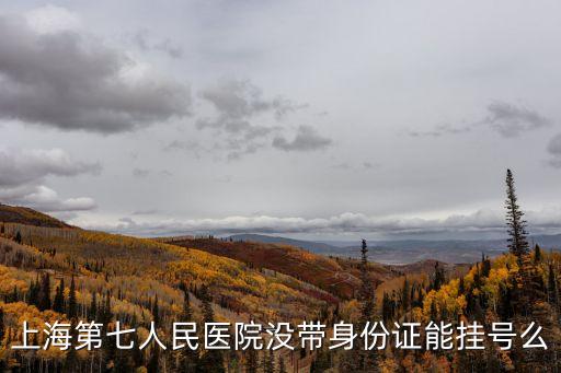 上海第七人民醫(yī)院沒帶身份證能掛號(hào)么