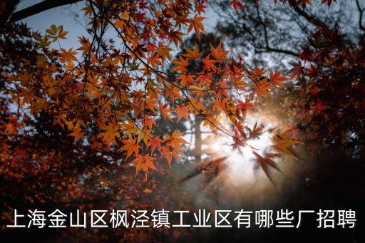 上海金山區(qū)楓涇鎮(zhèn)工業(yè)區(qū)有哪些廠招聘