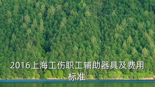上海市工傷保險輔助器具配置目錄，2016上海工傷職工輔助器具及費用標準