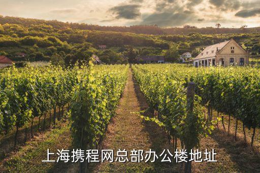上海市辦公樓地址，上海市政府大樓在哪個區(qū)