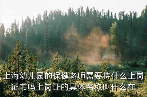 上海市兒保所 保健上崗證，上海幼兒園的保健老師需要持什么上崗證書嗎上崗證的具體名稱叫什么在