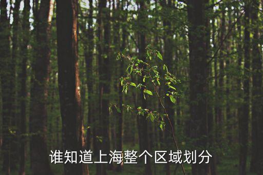 誰知道上海整個區域劃分