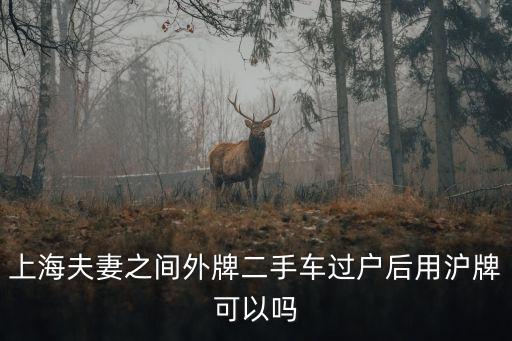 上海市夫妻之間汽車牌照能轉嗎，上海車輛夫妻變更 可不可以更換車牌號