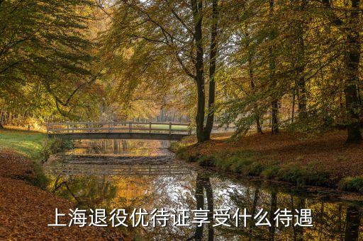上海市退役軍人補助標準明細，上海市金山區退伍老兵春節有補助或慰問品嗎