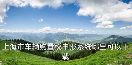 上海市納稅申報軟件下載，上海稅務網上申報軟件在哪里可以下載