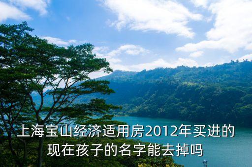 上海市經(jīng)適房 去名，上海寶山經(jīng)濟(jì)適用房2012年買(mǎi)進(jìn)的現(xiàn)在孩子的名字能去掉嗎