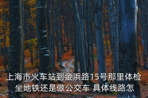 上海市金浜路15號 地鐵，上海南站出站至上海市金浜路15號乘地鐵幾號線