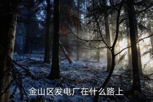 上海市金山電廠，想知道上海市 上海金山區漕涇電廠 在哪